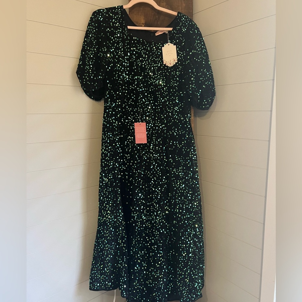 Ivy City Co Black and Green Dress